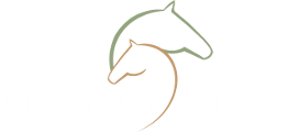 victory_reins_logo_120_white victory_reins_logo_120_white